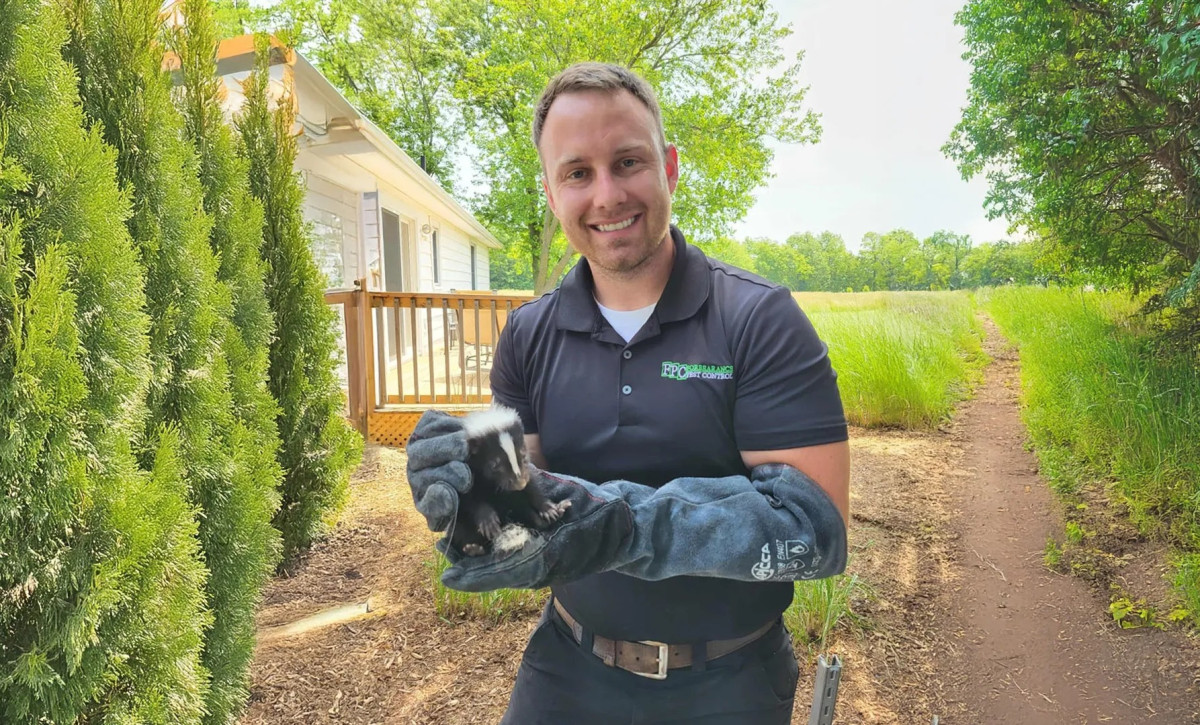 Forbearance Pest Control Hamilton Combines Wildlife Removal & Home Restoration