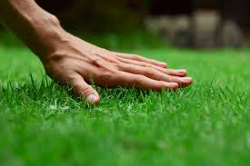 Big Green Lawn Care Provides Full-Service Landscaping and Lawn Care